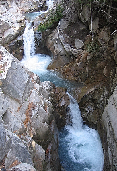 picture